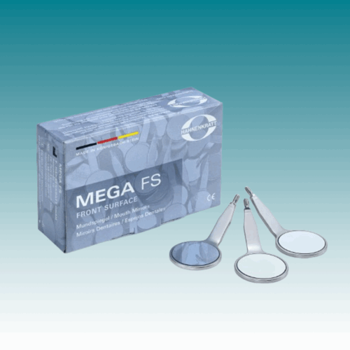 MEGA FS